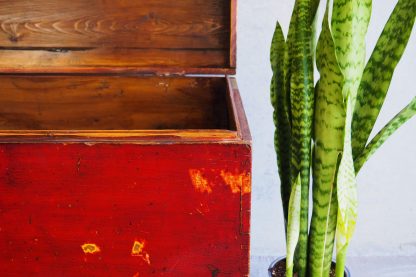 Antique wooden chest (c.1860)-AM01021-Detail