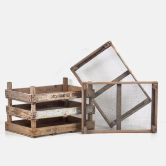 Caja de madera para bulbos de tulipán (c.1980)