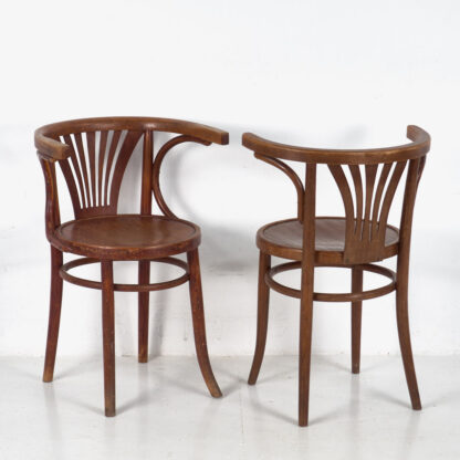 Conjunto de sillas Thonet con reposabrazos antiguas (c.1900). Conjunto de 4 piezas #5