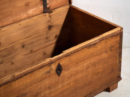 Antique golden brown trunk (c.1920) #18