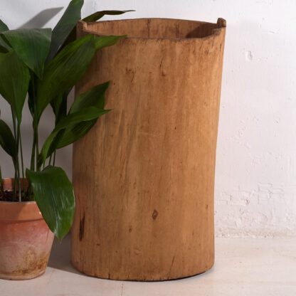 Large antique antique hollowed trunk planter (c.1920)