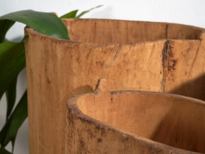 Large antique antique hollowed trunk planter (c.1920)